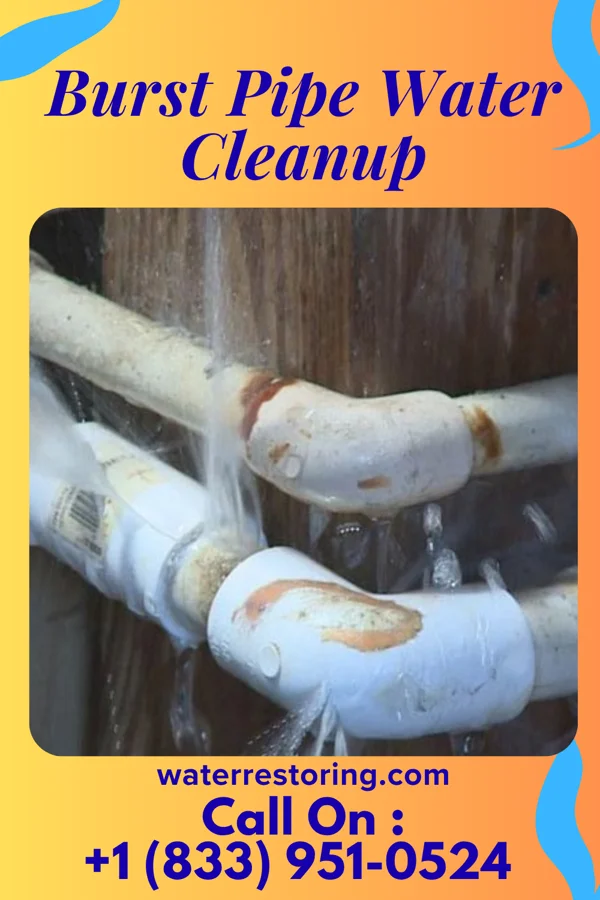 Burst Pipe Water Cleanup in Cedar Grove, WV