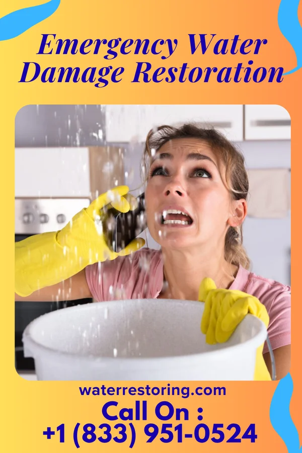 Emergency Water Damage Restoration in Cedar Grove, WV
