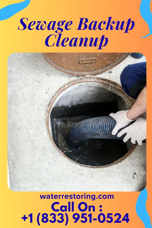 Sewage Backup Cleanup in Cedar Grove, WV