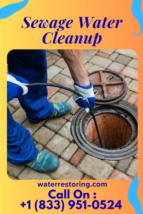 Sewage Water Cleanup in Cedar Grove, WV